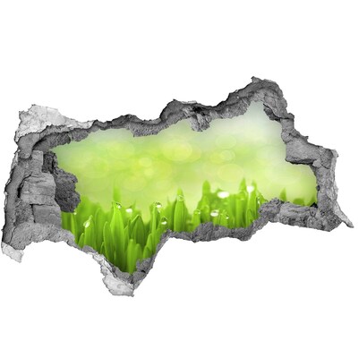 Decorazione da parete buco nel muro Prato verde con gocce d'acqua
