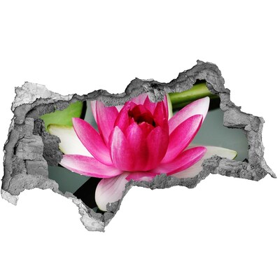 Sticker effetto rottura muro Fiore di loto in un buco nel muro