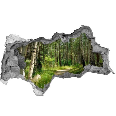Adesivo con vista dietro il muro Sentiero nella foresta di Hole in the Wall