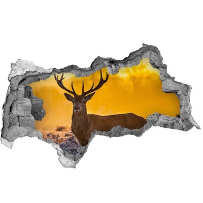 Adesivo con vista dietro il muro Cervi nella luce dorata