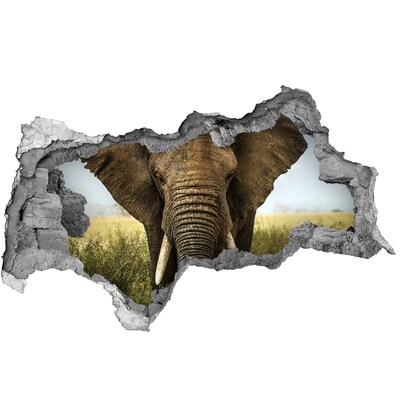 Adesivo con vista dietro il muro Elefanti nel loro habitat naturale