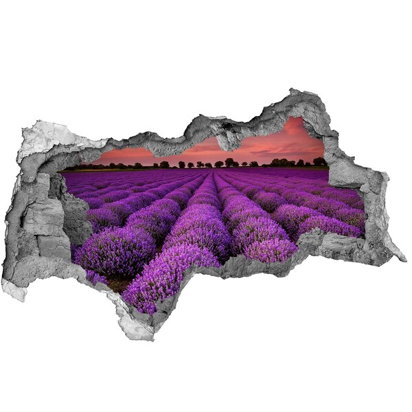 Adesivo con vista dietro il muro Campi di lavanda al tramonto