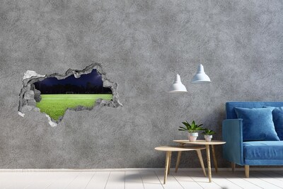Sticker effetto rottura muro Campo da calcio di notte