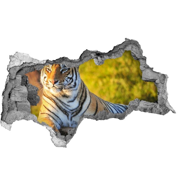 Decorazione da parete buco nel muro Tigre nel suo habitat naturale