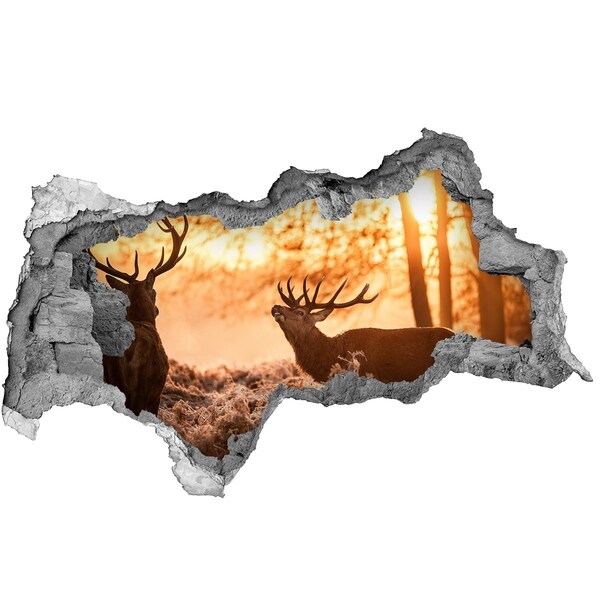 Decorazione da parete buco nel muro L'alba nella foresta