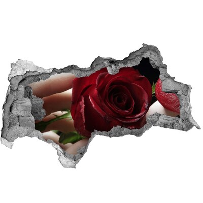 Adesivo con vista dietro il muro Una rosa in un muro in rovina