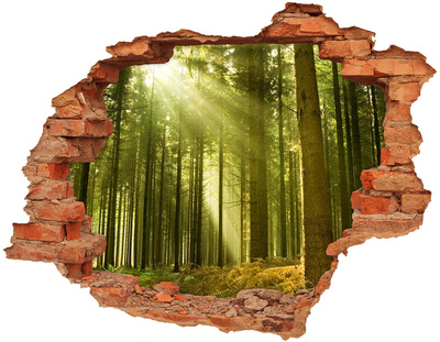 Adesivo murale buco 3D Foresta verde al mattino