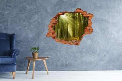 Adesivo murale buco 3D Foresta verde al mattino