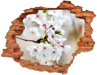 Adesivo con buco sbrecciato Fiori di ciliegio in un muro in rovina