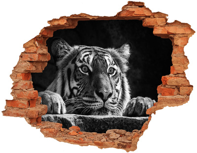 Adesivo con buco sbrecciato La tigre nel buco nel muro