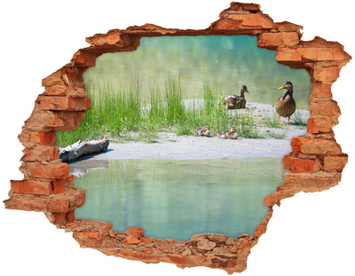 Adesivo effetto buco nel muro Laghetto con anatre