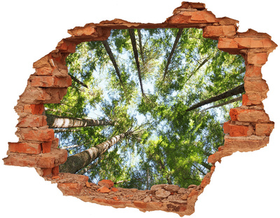 Adesivo con buco sbrecciato Vista della foresta con cielo azzurro