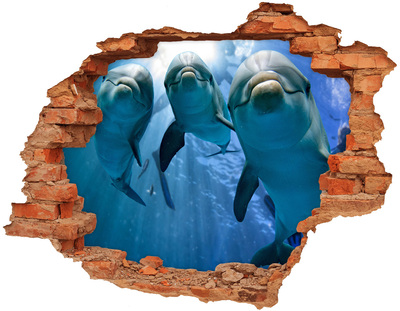 Adesivo con buco sbrecciato Mondo sottomarino con i delfini