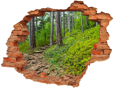 Adesivo murale buco 3D Sentiero nella foresta di Hole in the Wall