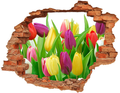 Adesivo murale buco 3D Un paradiso di fiori con tulipani