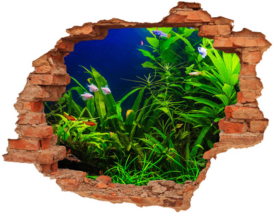 Adesivo effetto buco nel muro Il mondo sottomarino nell'acquario