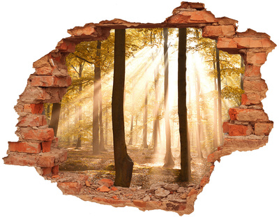 Adesivo murale buco 3D Raggi dorati nella foresta