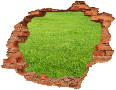 Adesivo effetto buco nel muro Un prato verde visibile attraverso un buco nel muro