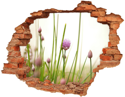 Adesivo effetto buco nel muro Giardino fiorito attraverso un buco nel muro
