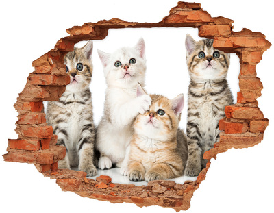 Adesivo murale buco 3D Gattini in un buco nel muro