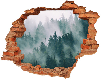 Adesivo murale buco 3D Foresta verde tra le nuvole