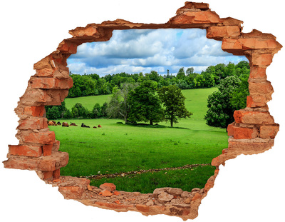 Adesivo effetto buco nel muro Prato verde con alberi