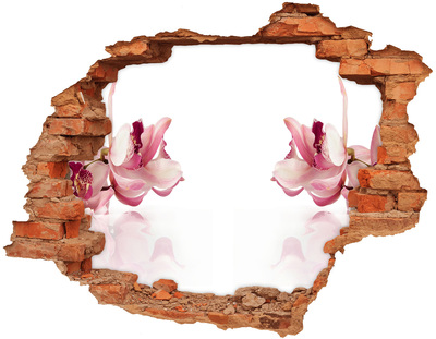 Adesivo effetto buco nel muro Illusione floreale nella parete