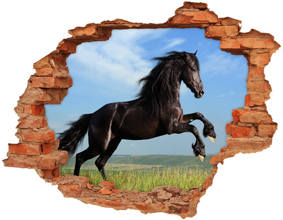 Adesivo murale buco 3D Un cavallo che salta in un prato