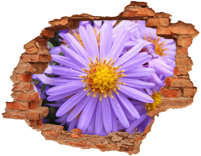 Adesivo con buco sbrecciato Fiore nel cemento