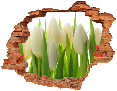 Adesivo effetto buco nel muro Tulipani alla luce del giorno
