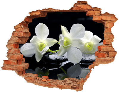 Adesivo murale buco 3D Fiori e pietre in stile zen