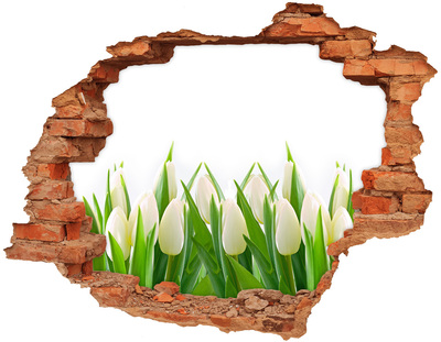 Adesivo effetto buco nel muro Un angolo fiorito nel muro
