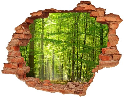 Adesivo effetto buco nel muro Foresta verdeggiante illuminata dal sole