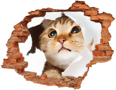 Adesivo con buco sbrecciato Gatto attraverso un buco nel muro