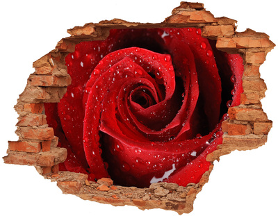 Adesivo effetto buco nel muro Fiore nel cemento