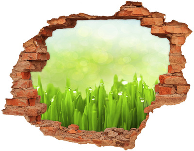 Adesivo effetto buco nel muro Prato verde con gocce d'acqua