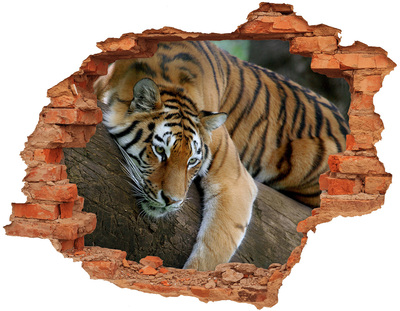 Adesivo effetto buco nel muro Tigre nel suo habitat naturale