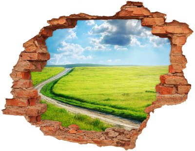 Adesivo effetto buco nel muro Prato verde con il cielo