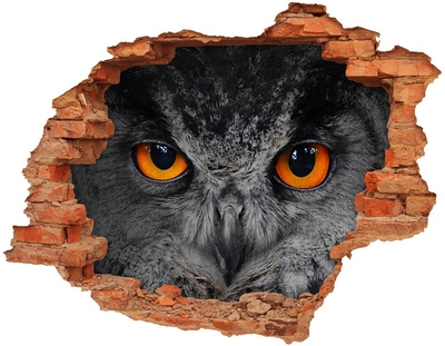 Adesivo con buco sbrecciato Gufo in un buco nel muro