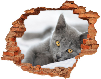 Adesivo con buco sbrecciato Gatto grigio in un buco nel muro