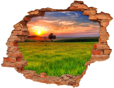 Adesivo con buco sbrecciato Tramonto sul prato