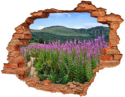 Adesivo effetto buco nel muro Paesaggio floreale in montagna
