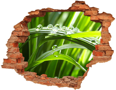 Adesivo murale buco 3D Prato verde con gocce d'acqua