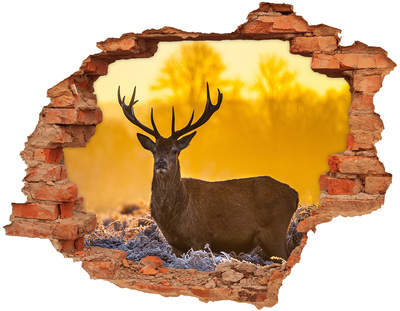 Adesivo murale buco 3D Cervi nella luce dorata