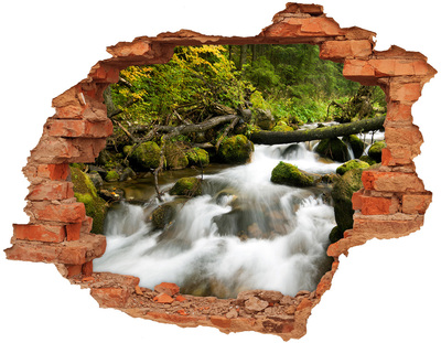 Adesivo effetto buco nel muro Ruscello verde nella foresta