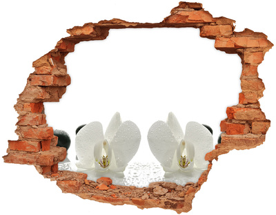 Adesivo con buco sbrecciato Fiori in cemento