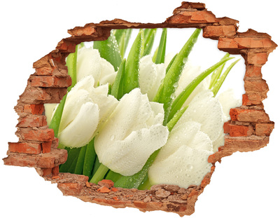 Adesivo murale buco 3D Tulipani in cemento