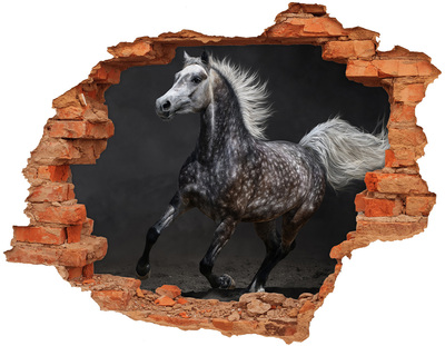 Adesivo effetto buco nel muro Cavallo selvaggio in fuga