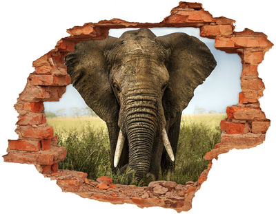 Adesivo murale buco 3D Elefanti nel loro habitat naturale