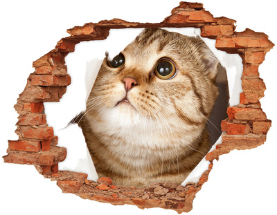 Adesivo con buco sbrecciato Gatto in un buco nel muro
